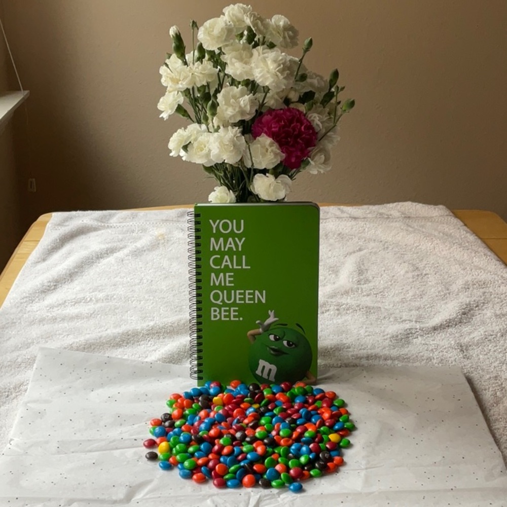 📗💙 M&M’S NOTEBOOK 📗💙 - Picture 5 of 16